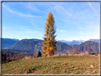 foto Da Rocca di Arsie al Col di Baio